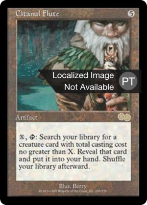 1b06e958-14c2-422d-8fd5-3d6db2860a76 Citanul Flute