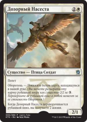 1b1b16cb-9456-444a-9206-bc02522ca55b Watcher of the Roost