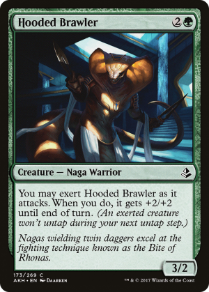 1b4dab03-abf1-4c8f-983e-77dffcfb1578 Hooded Brawler