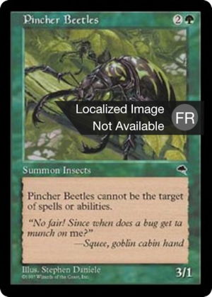 1b63d3c9-a3e8-4518-b09a-7607a8cebcf0 Pincher Beetles