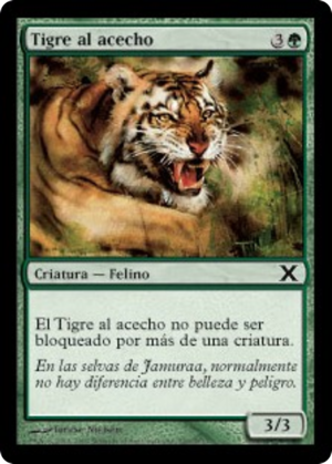 1b650b95-5a52-4fc1-993b-3a4d3156612f Stalking Tiger