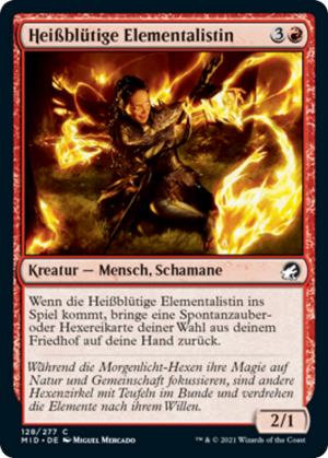 1b829719-d348-4088-bf9f-95ce4ace6c37 Ardent Elementalist