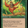 Uktabi Orangutan