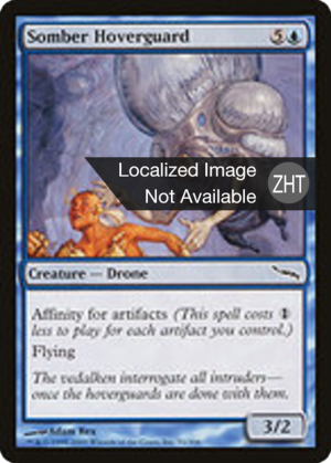 1bdeb4f5-e368-443d-a6d9-f80f68fd7abc Somber Hoverguard