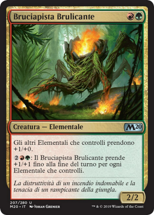 1c7e99ac-0c97-48a7-b2d9-54ce515b1347 Creeping Trailblazer