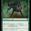 Darkthicket Wolf