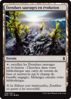 1d77cec9-e503-453d-a715-ceb9dc08a691 Evolving Wilds