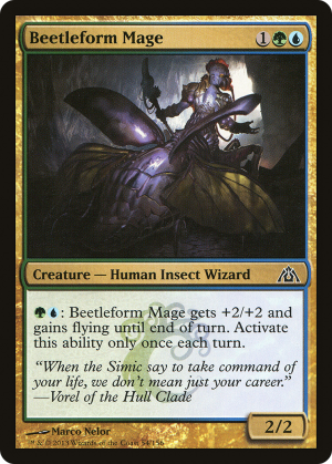 1e2f7d7f-4097-419b-8de0-b7bf28fc3a4b Beetleform Mage