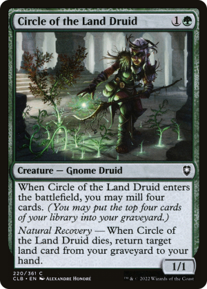 1e84fc74-5b33-423a-82c7-983320fce7a3 Circle of the Land Druid