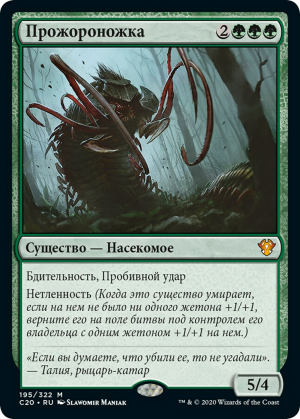 1ef98ac5-d907-467c-af5b-0dc0fd388919 Vorapede