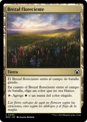 1f305d0a-90c5-47ac-b45c-6d49dfe1acfd Thriving Heath