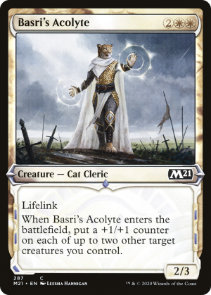 1f6e3c8d-66c2-4e9d-a7c2-290b5695eec2 Basri's Acolyte