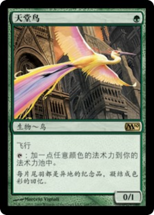 1fca9dec-6361-4981-adc7-1afa2c8ce898 Birds of Paradise