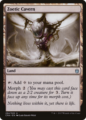 208ea615-0eb8-40ce-9d11-6e0106ba59fa Zoetic Cavern
