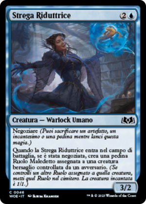 21a53be1-2d78-4761-a9ab-f297ccc1b311 Diminisher Witch