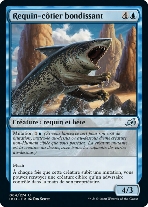 22002869-0c2f-4e5a-a12e-39cbfba55b61 Pouncing Shoreshark