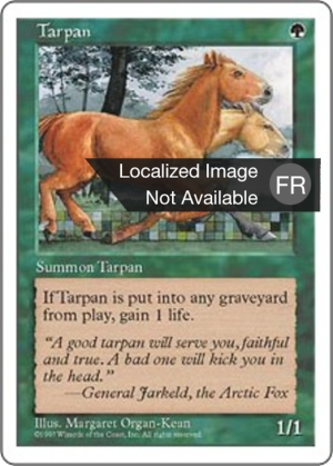 22856a07-5bb4-4b08-8351-48c08ccbd48a Tarpan