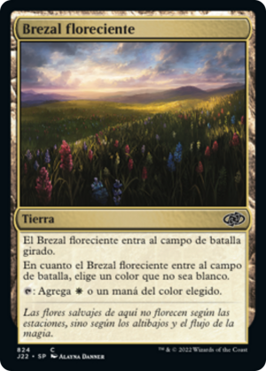 22a7f352-acab-4326-bf4c-1251b689e12d Thriving Heath