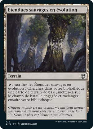 22bc6b9d-64c2-4197-a051-3d467e49af0e Evolving Wilds