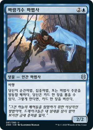 2390d592-34b3-45df-bab5-fe3815fd6809 Windrider Wizard
