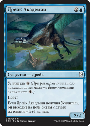 2515942d-54b1-4f04-825c-9005774c3c0c Academy Drake