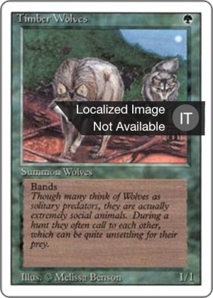 253e5e08-7e3d-4239-a089-5186a72ee668 Timber Wolves