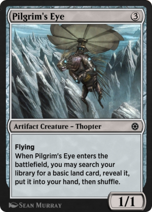 26510d9a-ddf8-4f3f-b225-8cb537df043a Pilgrim's Eye