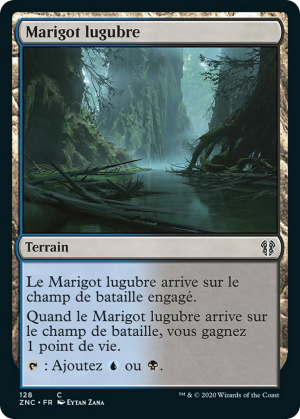 284088f3-494a-4cb4-8b43-0e3f819955e8 Dismal Backwater