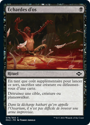 2937051e-e8fc-445f-9367-a4100c545b32 Bone Shards