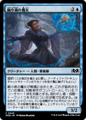 2a1f3f31-15f0-491f-9731-8d9986c40af6 Diminisher Witch