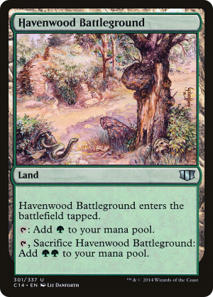 2db76816-d634-4629-9bf1-5dbca71d1615 Havenwood Battleground