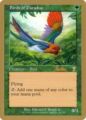 2eb0de65-969f-494a-9cf5-bfa59a7acdb4 Birds of Paradise