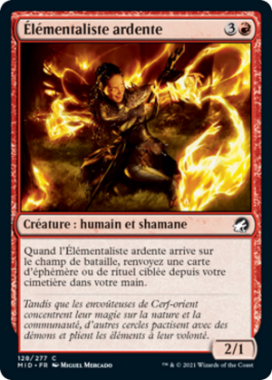 30561430-5960-4fe1-90ce-912c483443e5 Ardent Elementalist