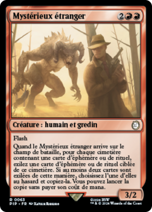 306aff21-b9a0-4800-b7dc-2f7031d403ff Mysterious Stranger