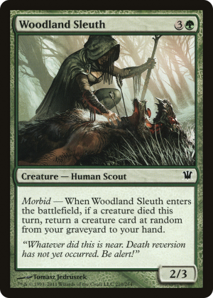 3088a924-58c6-4ab7-baf0-842d6688fcec Woodland Sleuth