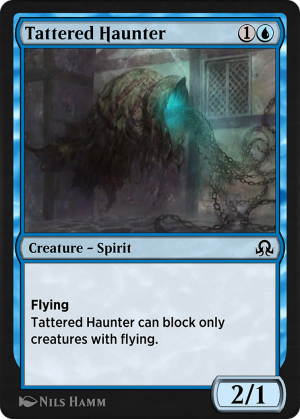 310f7352-d1a3-47fe-86b0-60ca9ed3f2e3 Tattered Haunter