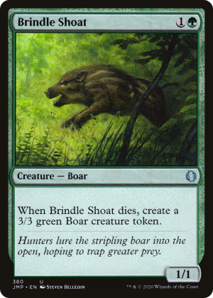 318a41e3-1c5a-467e-9ffb-e6a5f817f8fe Brindle Shoat