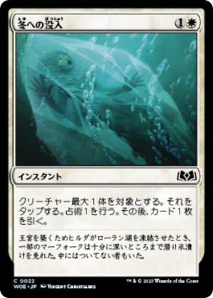 321aa665-3605-475b-be1e-a40ad33f4c87 Plunge into Winter