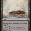 Barren Moor
