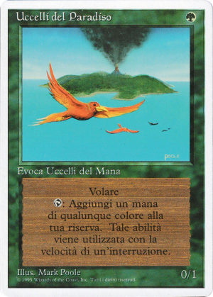 33a7d844-a95e-4c1f-874d-712b5af3035d Birds of Paradise