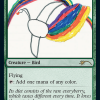 Birds of Paradise