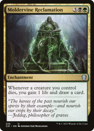 34c282d0-fe83-4ced-b696-cf0e2c6b13d0 Moldervine Reclamation