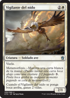 Watcher of the Roost