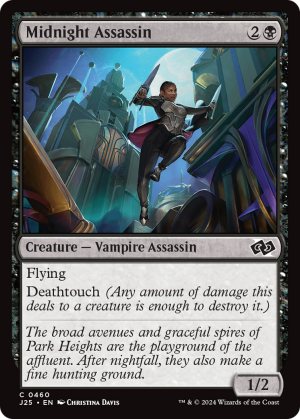 35efbe43-6e3e-4c08-8450-0c16c5e1ff7d Midnight Assassin
