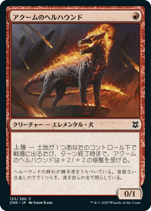 36709369-eee3-4901-9e76-304d1611e76f Akoum Hellhound