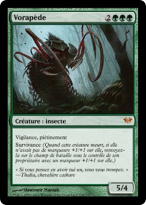 36c69952-49d4-48d4-92ed-b454d0e380c8 Vorapede