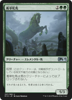 370558af-7c99-4c58-842b-bcb6aff20a85 Vine Mare