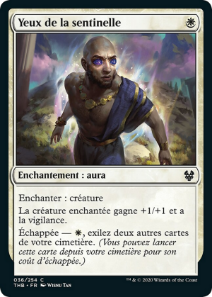 379a7e6e-0905-4544-af3a-6a06dd9f56ef Sentinel's Eyes