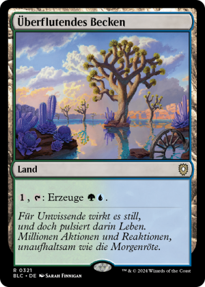 38468f55-111c-4d95-a303-bb7703a3c8a5 Overflowing Basin