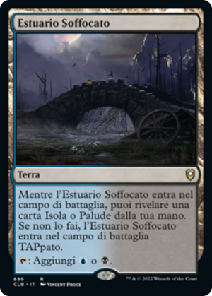 3861f00a-14ce-4fdc-9377-a5eb72cfa026 Choked Estuary